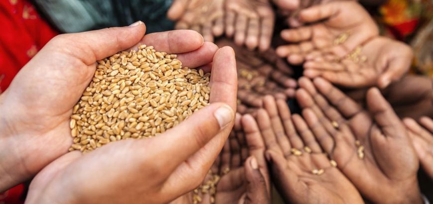 أسعار الغذاء العالمية ترتفع بنهاية 2020 مسجلة أعلى مستوى في 3 سنوات