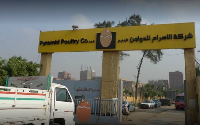 «كايرو ثرى إيه» تستحوذ على 50% من «الأهرام للدواجن» بقيمة 340 مليون جنيه