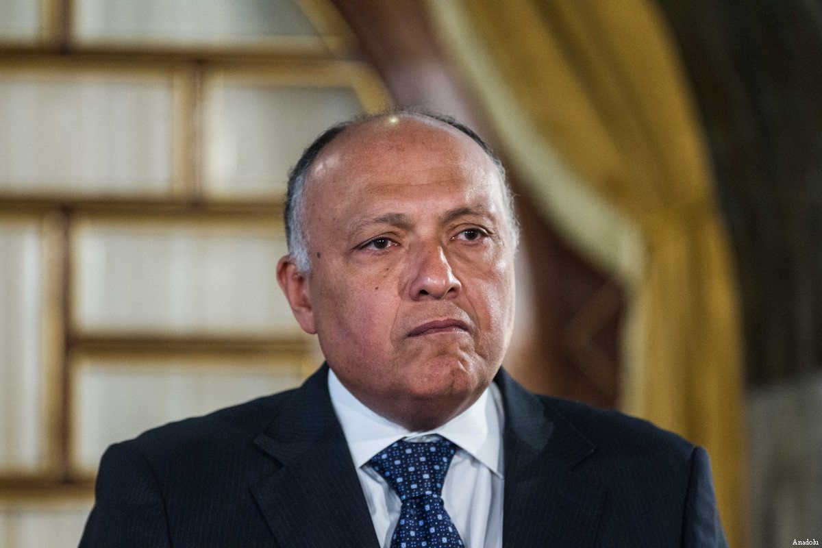 سامح شكري لمجلس الأمن: سد النهضة يهدد ملايين البشر والدفاع عن البقاء حتمي