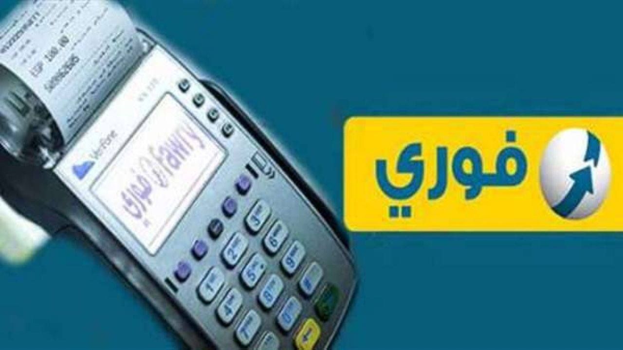 الصندوق المصري الأمريكي يخفض حصته في "فوري" إلى 2.99%