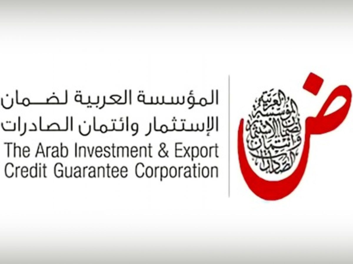 الاستثمار الأجنبي المباشر بالدول العربية يرتفع 2.5% خلال 2020