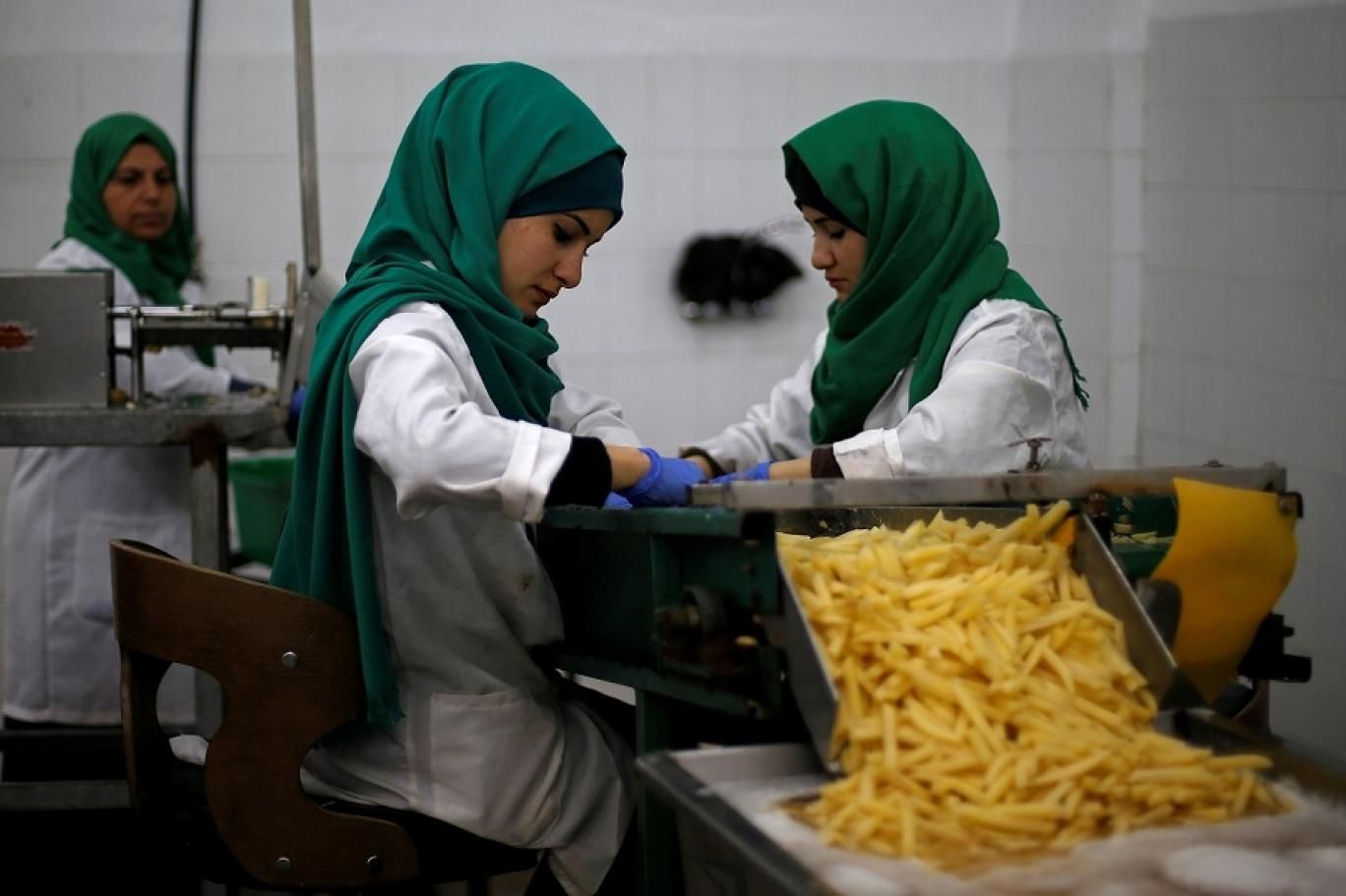 الرقابة المالية: تمكين المرأة اقتصاديا يساهم في زيادة معدل النمو بـ 37%