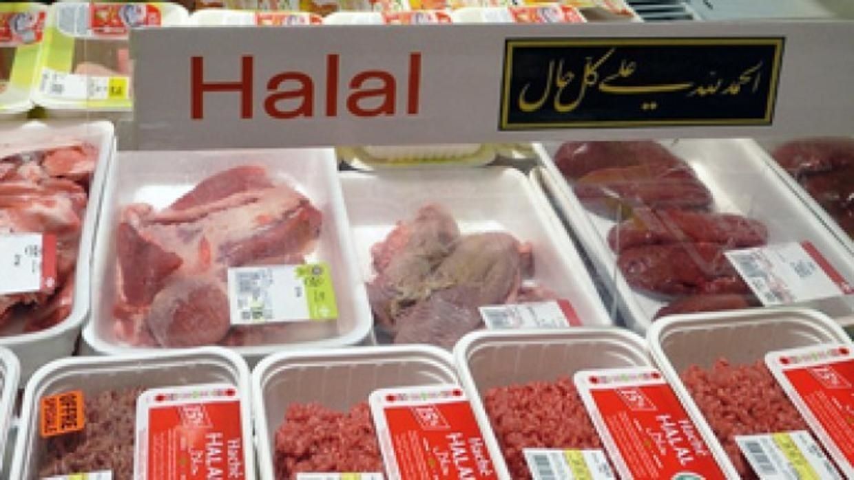 «IS EG Halal» تفتح 5 مكاتب دولية جديدة فى 2021