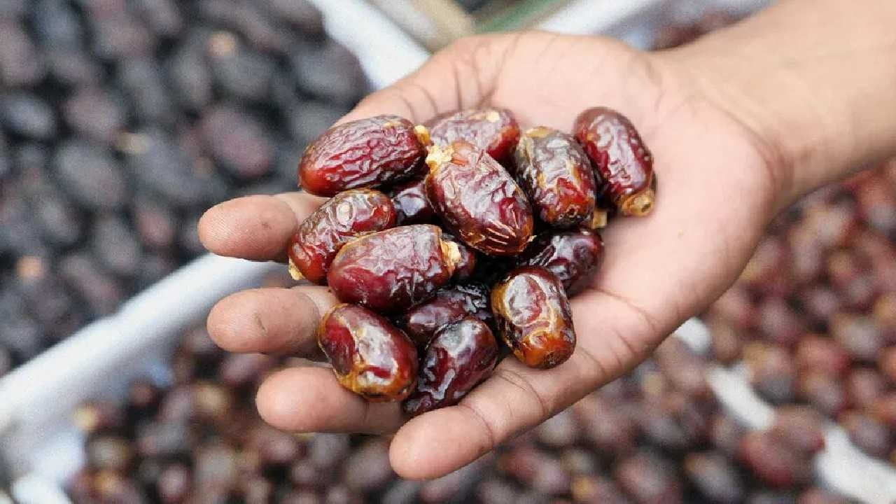 بزيادة 5%.. تقديرات بارتفاع إنتاج مصر من التمور إلى 2.1 مليون طن هذا الموسم
