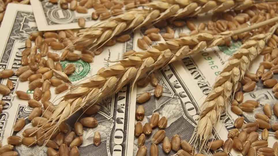شركات في الطريق لـ"مستقبل مصر".. لماذا هبطت وارداتنا من القمح؟.. رفع توقعات نمو الاقتصاد المصري