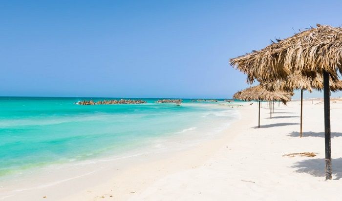 "المجتمعات العمرانية" تفرض رسومًا بالدولار على مشروعات الأجانب في الساحل الشمالي.. "الكهرباء" تصدر شهادات طاقة متجددة للتداول ببورصة "المناخ" قبل نهاية 2025