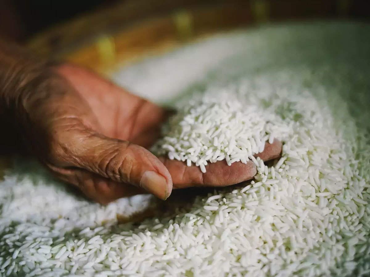 توقعات بارتفاع إنتاج مصر من الأرز 19% في الموسم الجديد