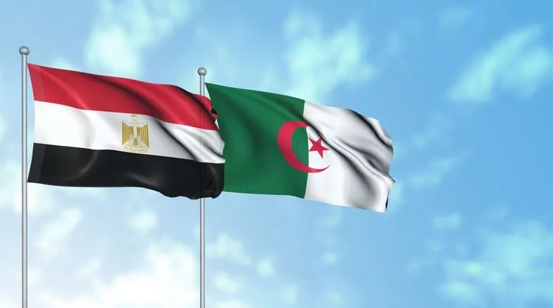 رئيس الغرف التجارية: شركات مصرية نفذت مشروعات بنية تحتية في الجزائر بـ9 مليارات دولار.. "القابضة للبتروكيماويات" تتفاوض على قرض بـ400 مليون دولار لمشروع وقود الطائرات