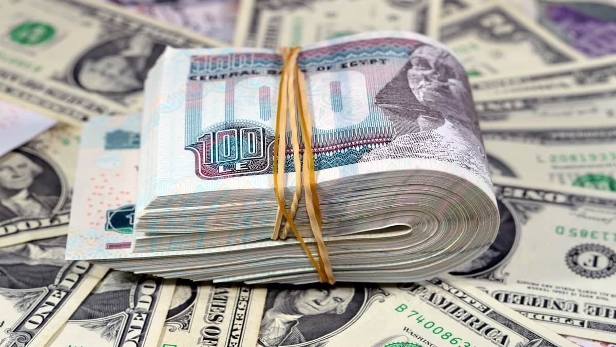 الحرب تضغط على الجنيه.. الغاز يتصدر اهتمامات الحكومة.. "الديار" تتسلم 1500 فدان في "علم الروم"
