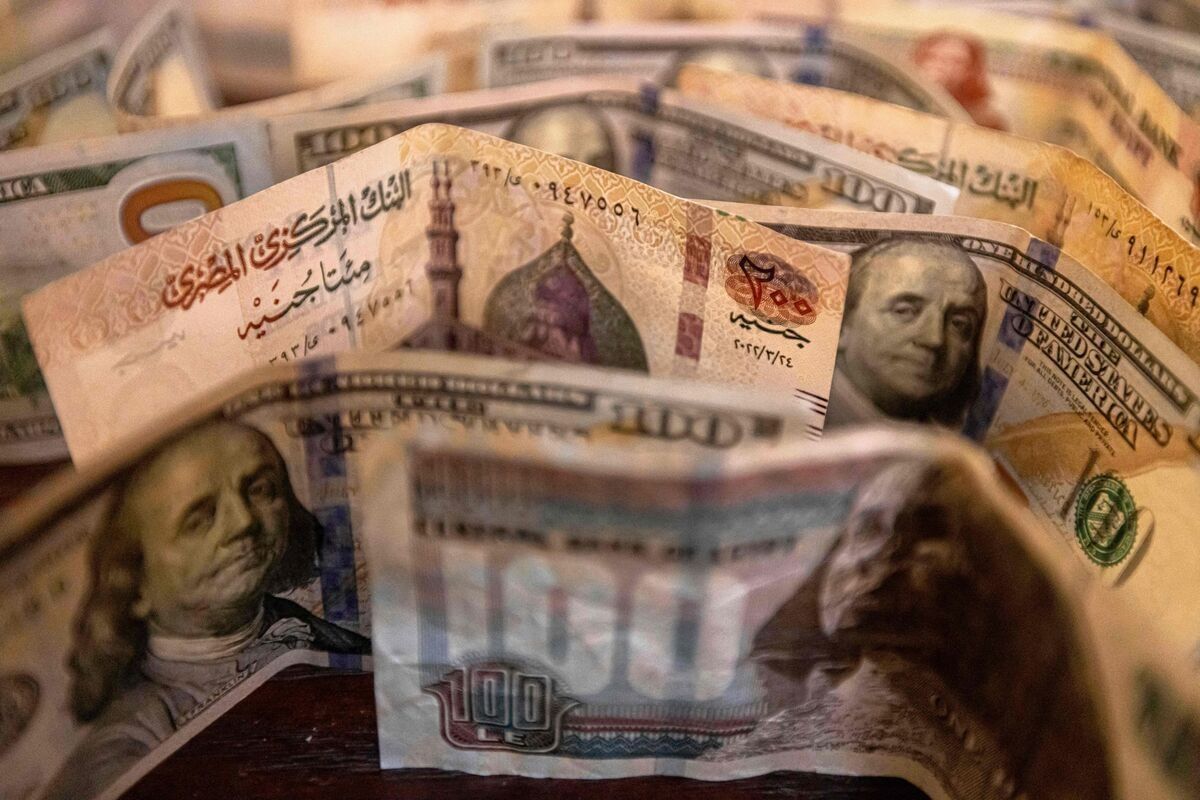 الجنيه يواصل التراجع.. استبعاد تأثر "الإصلاح المصري" بالحرب.. ونرصد طلبات مصر للقمح الأوروبي