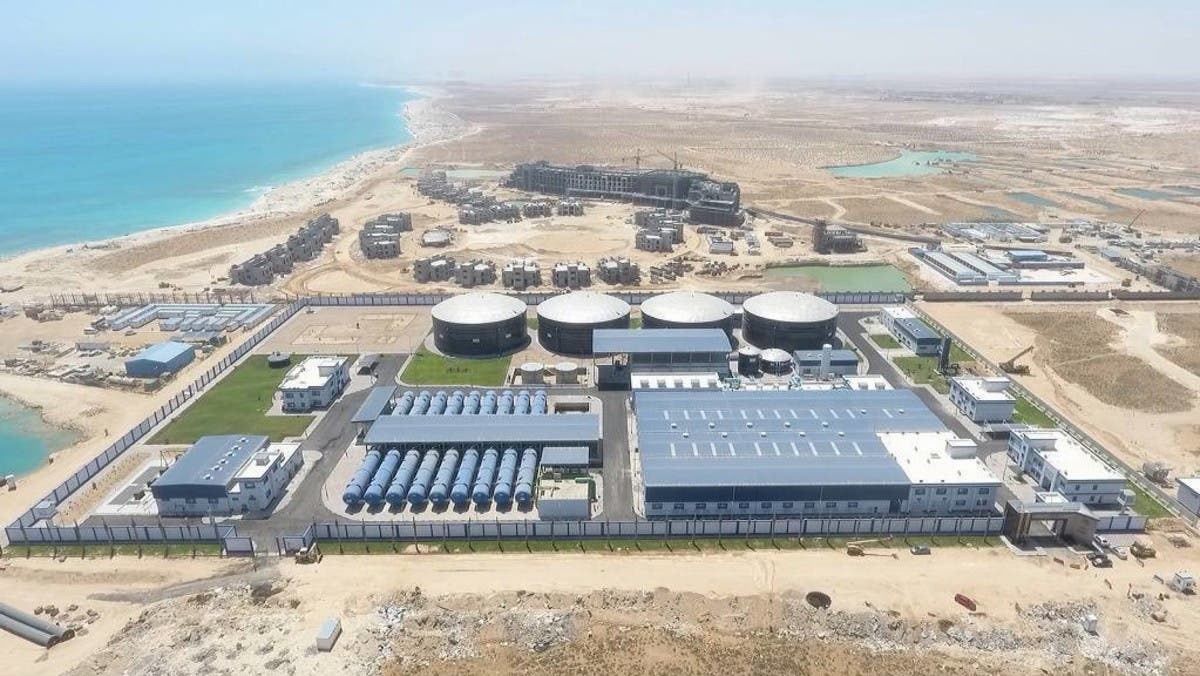طرحان مهمان للحكومة.. سداد شهري لمستحقات البترول.. التوثيق يضخ 100 مليار جنيه بالساحل