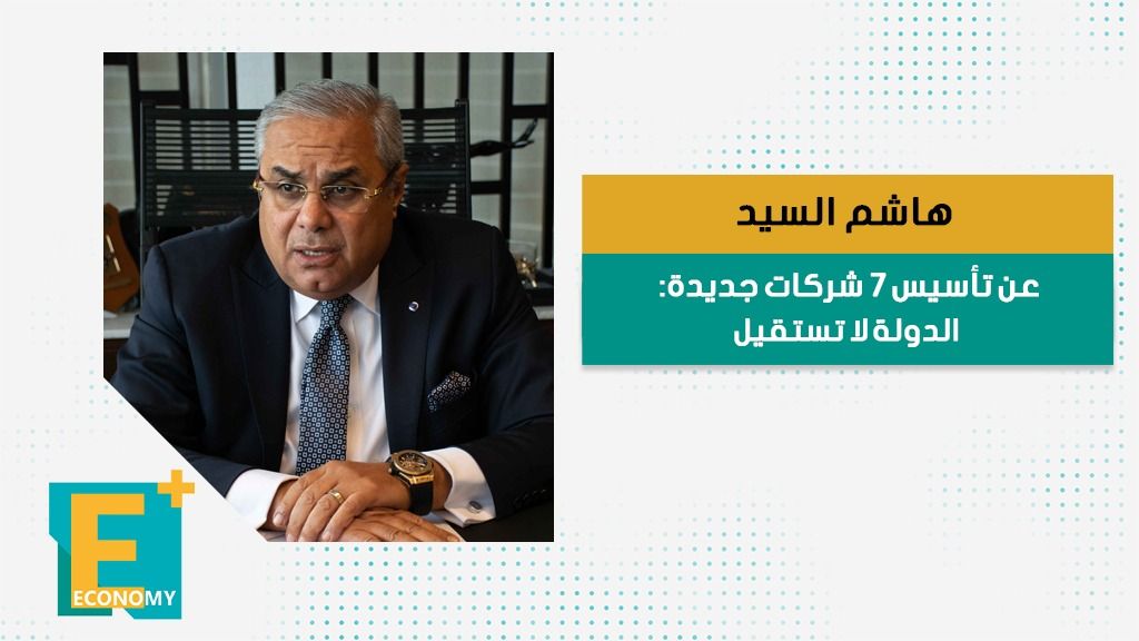 هاشم السيد عن تأسيس 7 شركات جديد: الدولة لا تستقيل